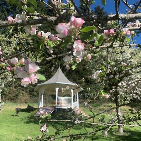 ホテル Le Terrondou Vic-sur-Cère エクステリア 写真