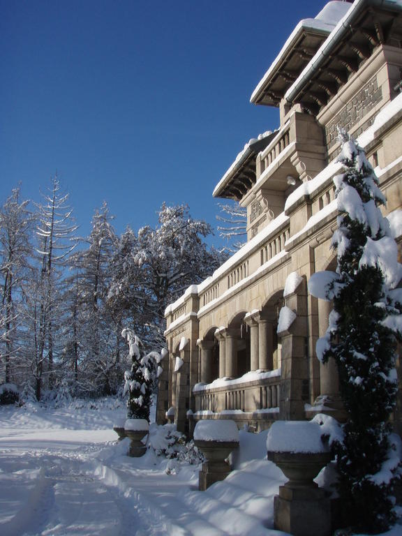 ホテル Le Terrondou Vic-sur-Cère エクステリア 写真